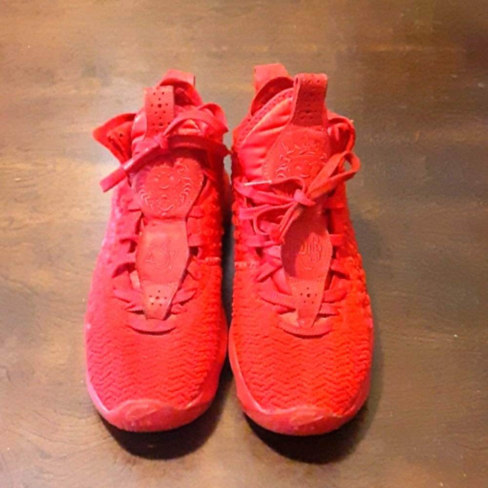 Boys Lebron XVII